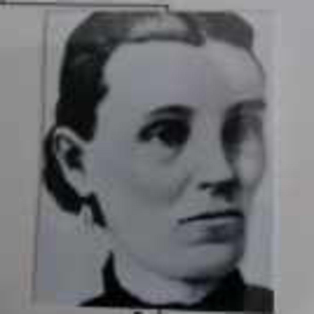 Maria Evaline Tracy (1847 - 1894) Profile